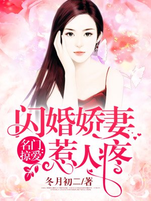 名门掠爱:闪婚娇妻惹人疼 作者:冬月初二