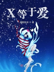 x等于什么?