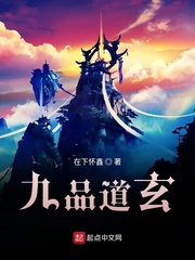 九品宗师小说