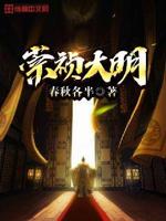 大明崇祯新传